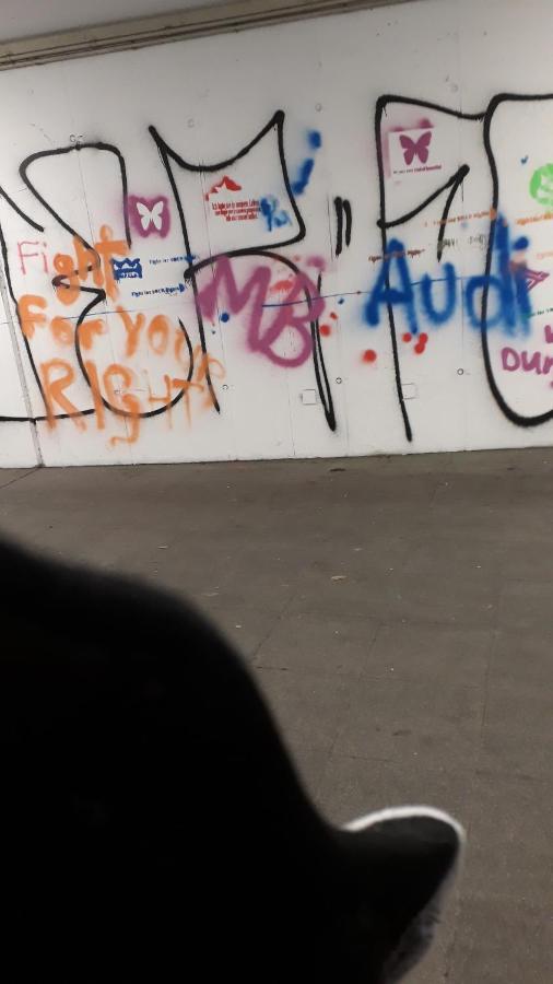 Mostly Muse Eidenberg Zewnętrze zdjęcie